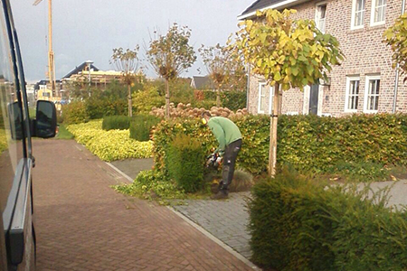 Tuinspecialist in Drenthe