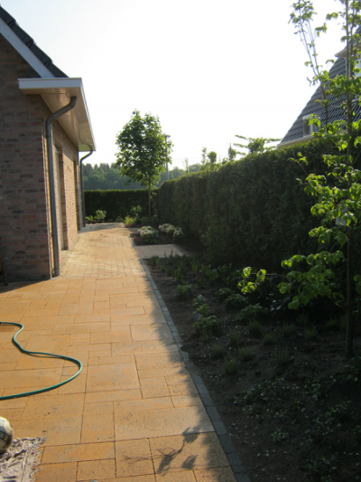 voorbeeld foto Tuinrenovatie en bestrating Emmen (Barger-Oosterveld)